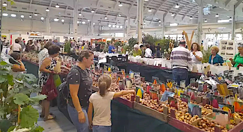 Il magico mondo di Harry, La Fabbrica di Cioccolato...
